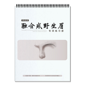 融合感野生眉专项练习册（素妆）