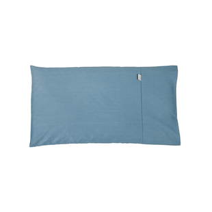 全决明子低枕颈椎枕男成人学生家用平枕睡眠枕硬枕头枕芯矮薄枕