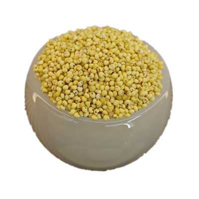 农家自产正宗大黄米当季新米粗粮黄米饭粘米营养五谷杂粮饭主食