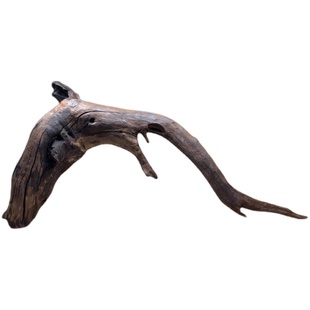 沉木紫柚木杜鹃根鱼缸造景寄居蟹插花爬宠盆栽微景观根雕禅意朽木