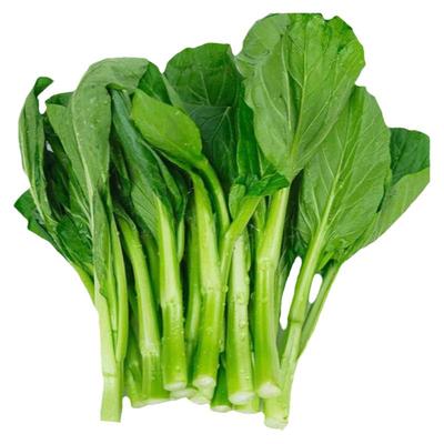 新鲜广东芥蓝顺丰包邮坏菜包赔