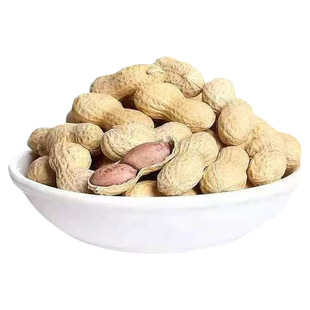 新货老式农家铁锅柴火炒花生原味炒熟紫衣带壳炒货下酒菜零食