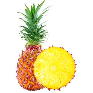 海南金钻凤梨新鲜水果10斤手撕香水菠萝整箱风梨大果无眼特产包邮