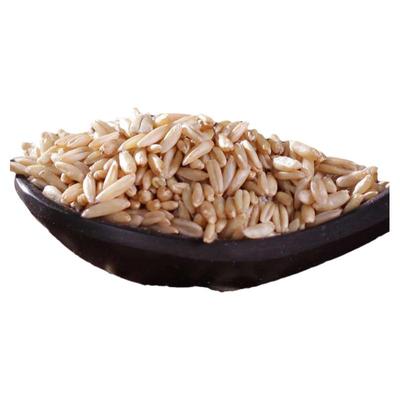 2025年杂粮杂粮优质1kg燕麦米