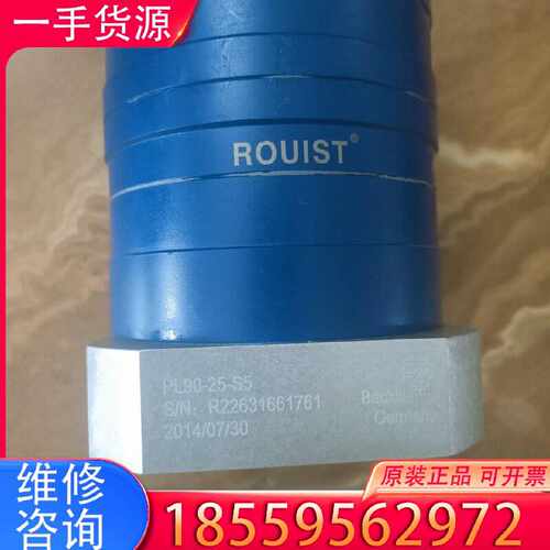【询价】PL90-25-S5德国ROUIST减速机，的，实物适用