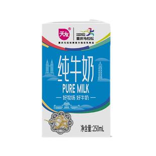 天友纯牛奶250mlx24盒装整箱全脂牛奶早餐奶纯奶生牛乳公司