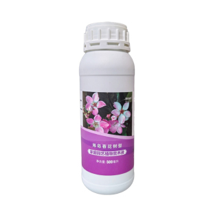 海岛春花树浓缩营养液石斑木通用型家用盆地栽绿植专用水溶性花肥