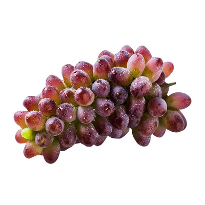 【顺丰】现摘云南茉莉香葡萄新鲜水果当季脆甜无籽郁金香红提子