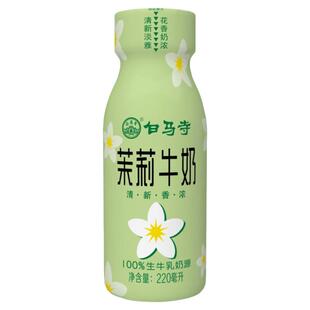 白马寺茉莉牛奶河南洛阳老字号洛阳特产220毫升瓶装调制乳饮料