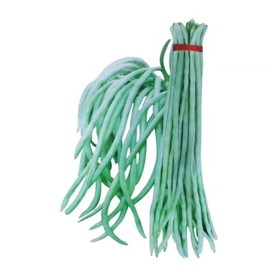 改良架豆种子高产春季秋冬蔬菜