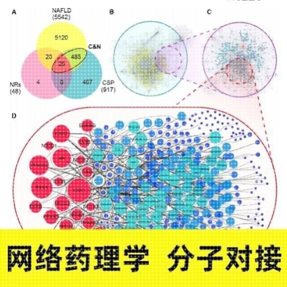 网络药理学专业代做 cytoscape作图 go kegg富集ppi网络 分子对接