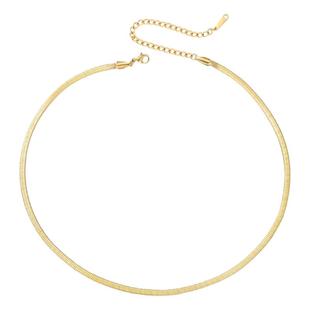 项链女士欧美简约ins锁骨链不锈钢链条 项饰颈链扁蛇链钛钢蛇骨链