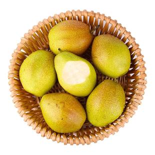 2025现摘红香酥梨水果新鲜当季9斤香梨应季山西梨子批整箱包邮甜