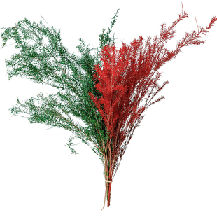 北欧永生花千层金干花红色系室内插花真花橱窗布置软装家居装饰花