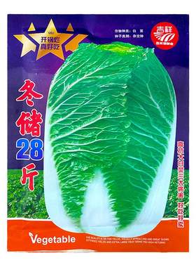 冬储28斤秋播大白菜种子特大