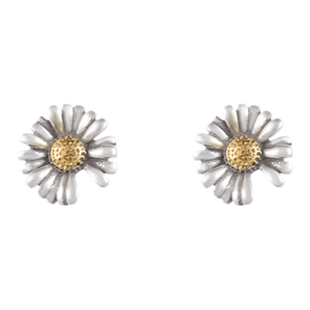 高级纯银向日葵耳钉男士艺术生小众日常轻奢复古耳环秋冬爆款耳饰