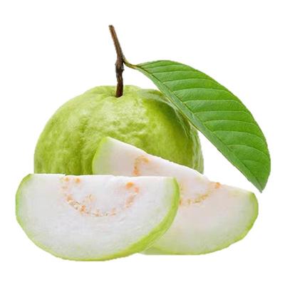 脆甜芭乐新鲜现摘5斤包邮白心番石榴当季孕妇水果白芭乐送酸梅粉