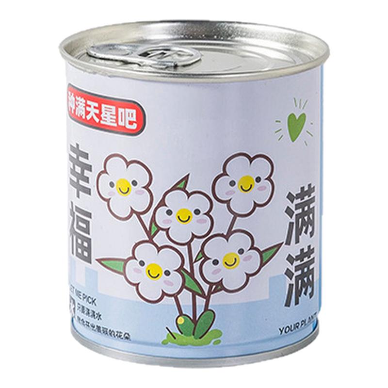 六一儿童节小礼物创意祝福盆栽礼盒套装送学生奖品幼儿园小礼品