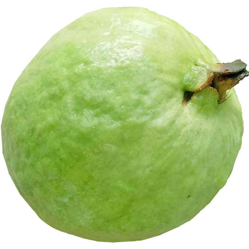 广西白心番石榴脆新鲜爱心吃货助农产品潘蕃软糯水果台湾珍珠芭乐