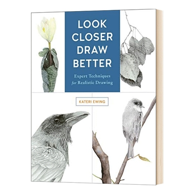 英文原版 Look Closer  Draw Better 看得更近 画得更好 写实绘画的专家技术 英文版 进口英语原版书籍