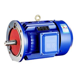 YE3三相立式电动机11KW15/18.5/22/30/37/45/55千瓦全铜380V电机