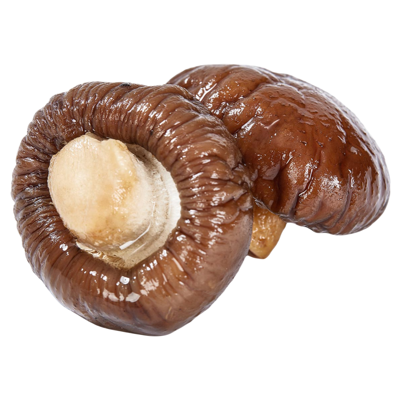 ũС�� ����С�㹽�ɻ� ���� ���뵱����Ʒ ���ݷ� �ɻ���������� 25.93Ԫ��è��ѡ�˿�Ŀǰ��ۼ�32.43Ԫ����������3.9Ԫ�Żݻ��88��Ա2Ԫȯ���Խ�ҿɵ֣��µ�1����ʵ������25.93Ԫ��