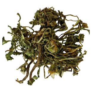 蒲公英整棵带根深山采挖黄黄苗婆婆丁新晒干蒲公英精选无杂黄黄苗