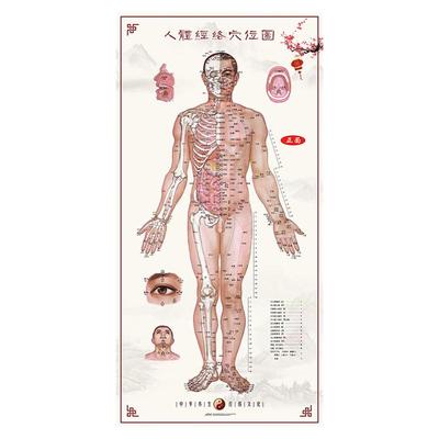 人体经络穴位图养生馆装饰画