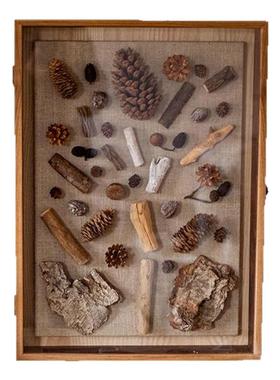 实木标本相框立体墙面装饰摆件