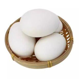 农家散养鹅蛋新鲜孕妇土鹅蛋大鹅蛋天然现捡现发