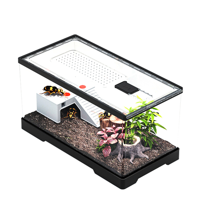 甲虫亚克力饲养箱透明饲养盒