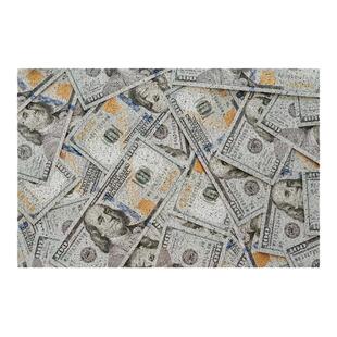 美元美金各国货币金钱符号纸币丝圈地垫子玄关门外入户进门口脚垫