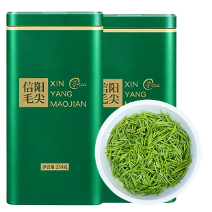 信阳毛尖2026新茶雨前头采特一级高山绿茶嫩芽浓香型绿茶罐装500g