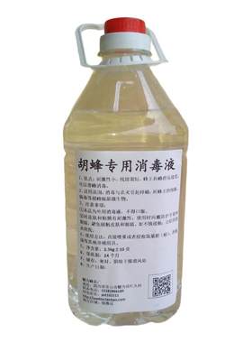 金环黑尾黄脚活动区喂食筑巢胡蜂