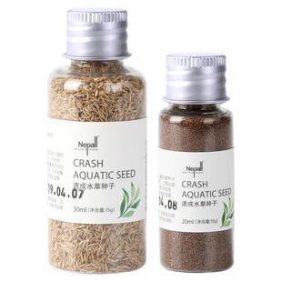 yee水草籽鱼缸种子牛毛对叶真水草种籽草坪草籽造景植物底砂套餐