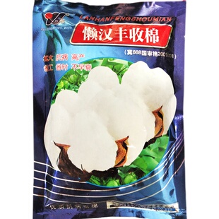 懒汉丰收棉棉花种子 桃大 省工省时不早衰接铃性强优质棉花籽春季