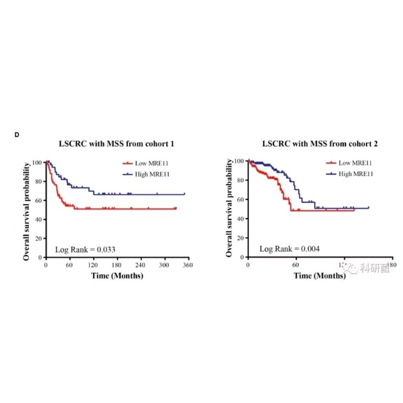 生信分析服务单细胞数据测序转录组分析tcga/geo数据库挖掘