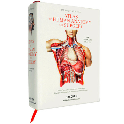 【现货】Bourgery 人体解剖手术艺术 医学人体解剖图例 Atlas of Human Anatomy 艺术作品 英文原版