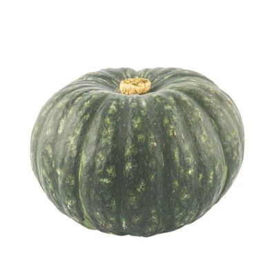 板栗南瓜种子金记高品质