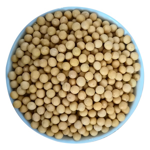 东北笨土黄豆打豆浆专用豆农家自种非转基因生豆芽新鲜大豆2斤装