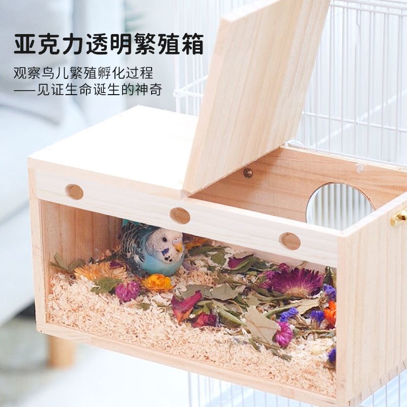 鹦鹉繁殖箱竖式玄凤虎皮鹦鹉专用保温箱幼鸟雏鸟手养过冬便携式窝