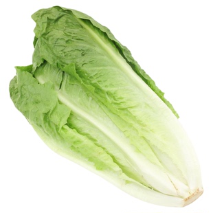 【沁蕊】新鲜包心罗马生菜嫩罗马罗纹生菜凯撒沙拉蔬菜 500g