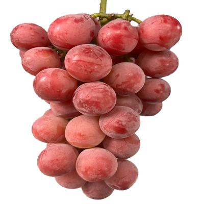 无籽葡萄女王丨特级妮娜皇后