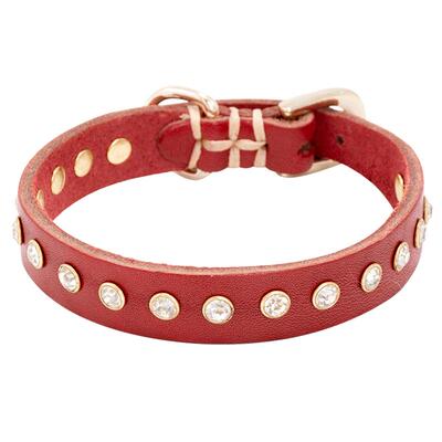 牛咪宠物项圈小型犬猫咪铃铛脖圈