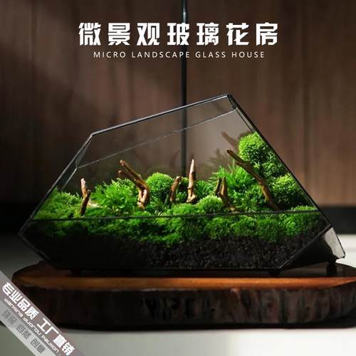 苔藓微景观玻璃生态瓶闷养桌面迷你小盆景造景蒲面青苔雨林水陆缸