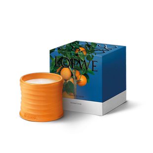 【新年礼物】LOEWE罗意威橙花系列产品香氛香薰蜡烛植物礼物