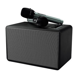 雷登S16广场舞户外音箱手提便携式无线k歌蓝牙超大音量带无线话筒