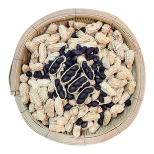 云南黑花生老品种2025新货富硒黑皮花生米种子籽坚果孕妇零食特产
