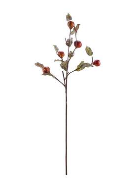 HarborHouse美式客厅餐厅装饰品花艺仿真花假花红木果Quince