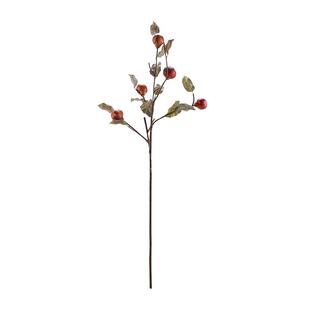 HarborHouse美式客厅餐厅装饰品花艺仿真花假花红木果Quince